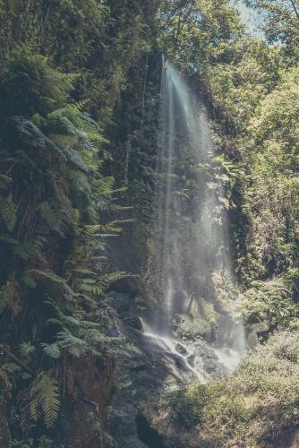 robin franken photography