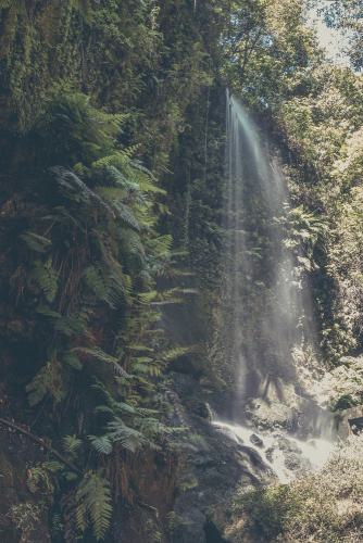 robin franken photography