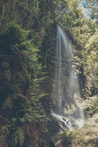 robin franken photography