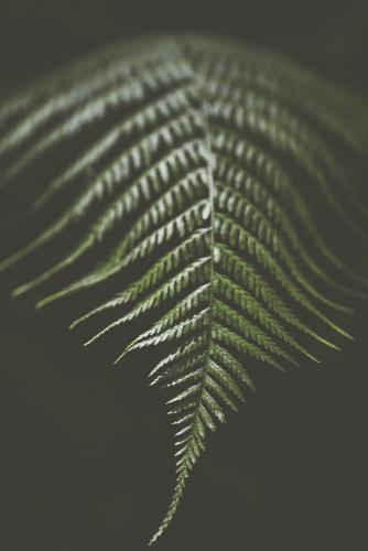 20230617-20230617-IMG 6219